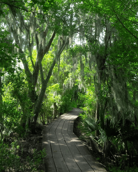 Screen Shot 2016-07-29 at 2.15.24 PM