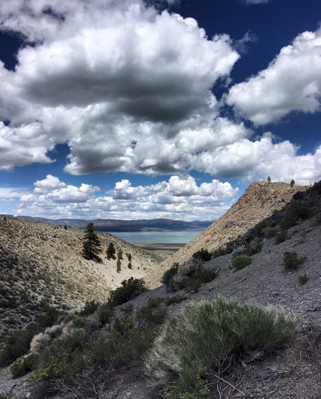 3F109B54-F749-4A07-AD31-101B2B38A972