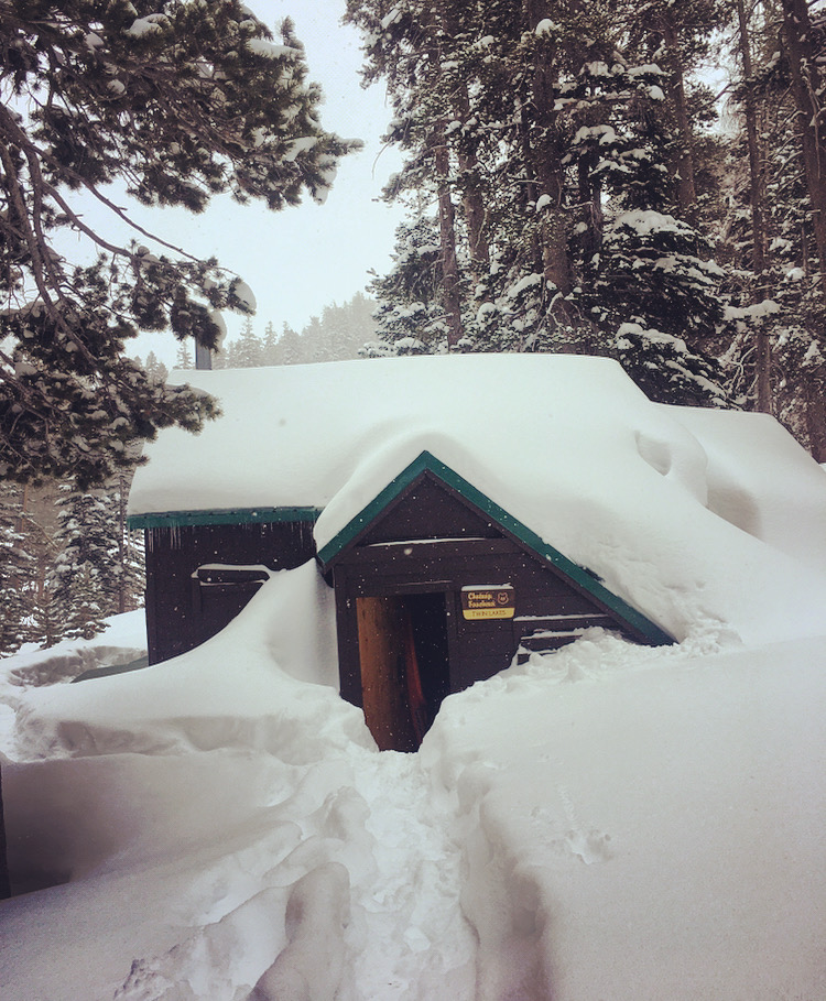 B251634A-D6B5-4ED8-9E6C-D93EDEF4CF38