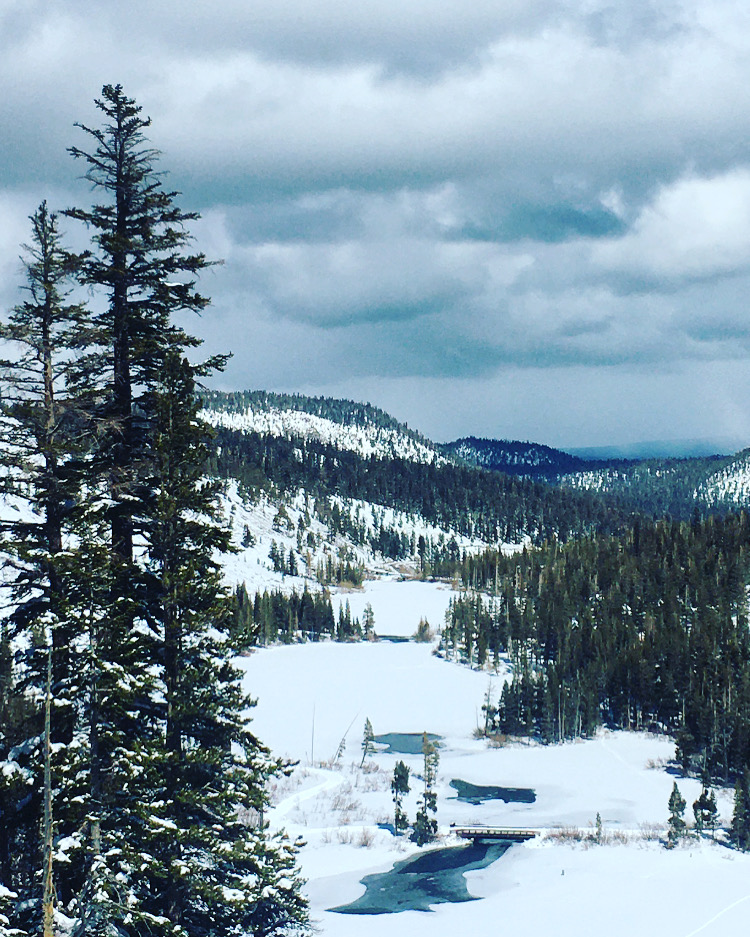 B861F5AC-D9EE-43D6-AA8F-25776086FD0C