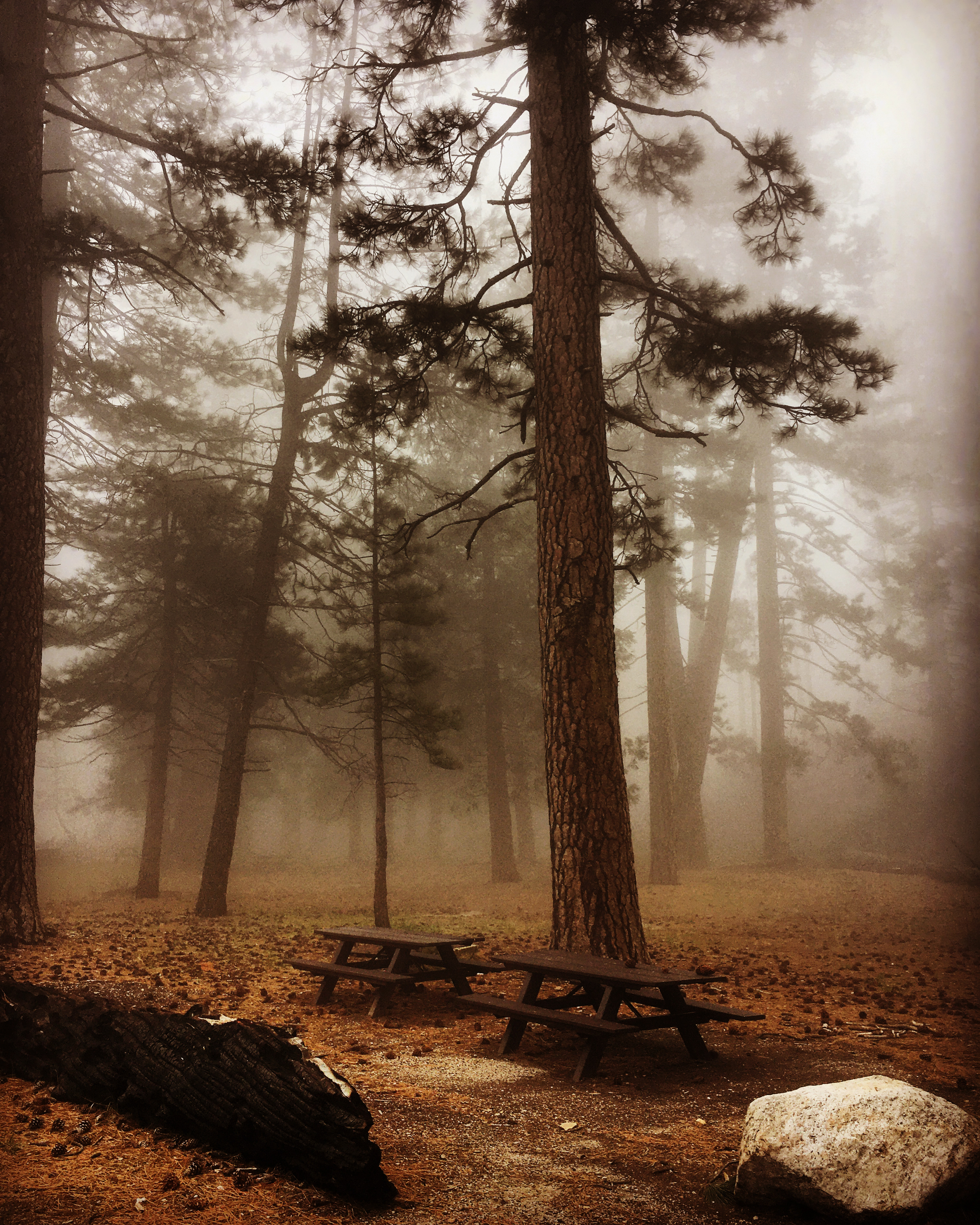 278FB554-0AA6-457E-801E-9EF90C554601