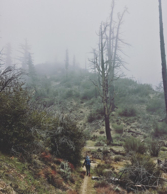 6AC18F15-CF4A-41B2-904C-B082DC3984FF