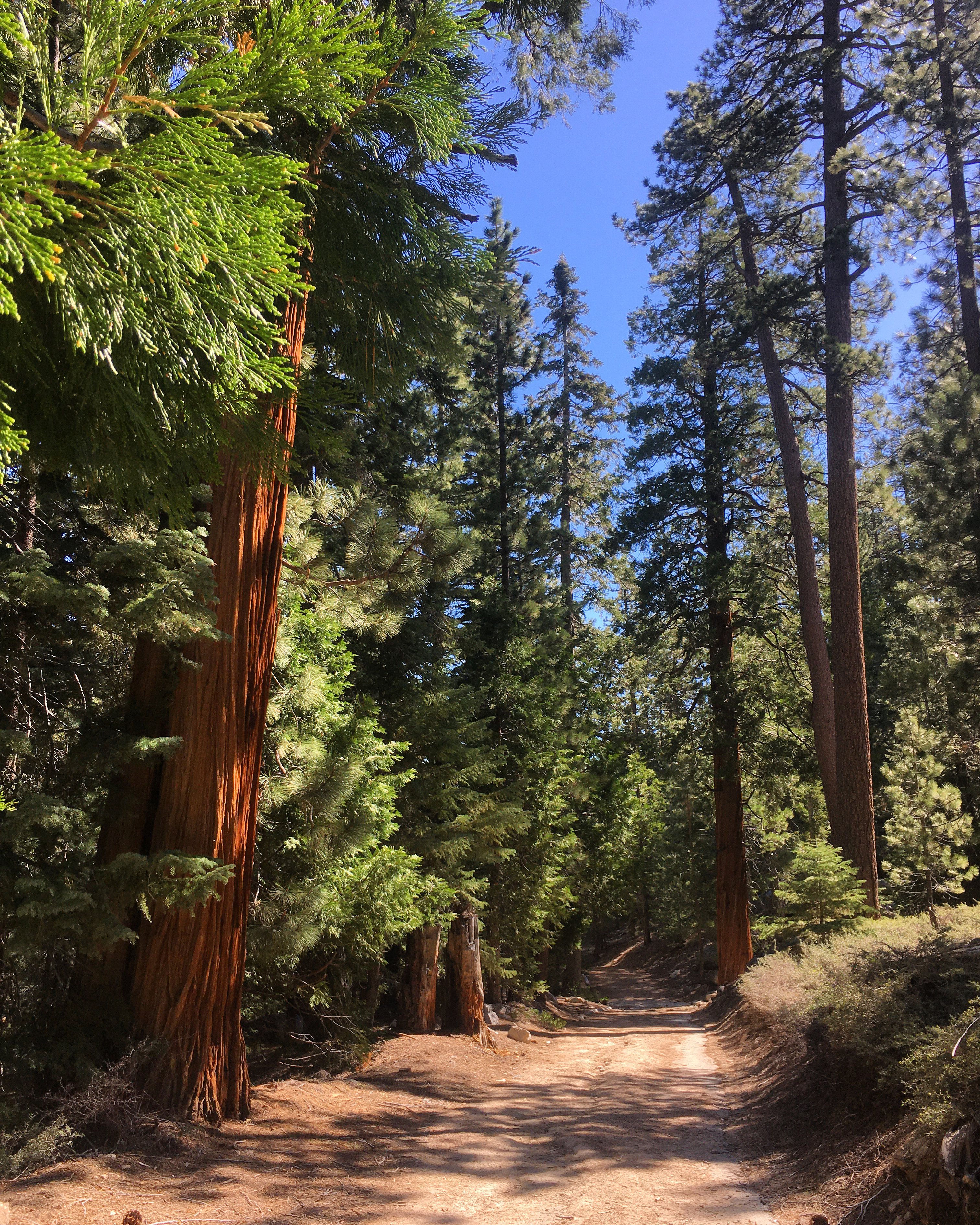 BC2F69AA-E722-4323-9A3E-E70E5B83A141