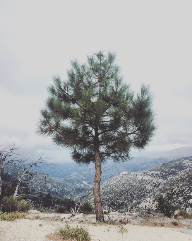 BC658E39-4CF7-40B0-BE5C-AF4489B72F53