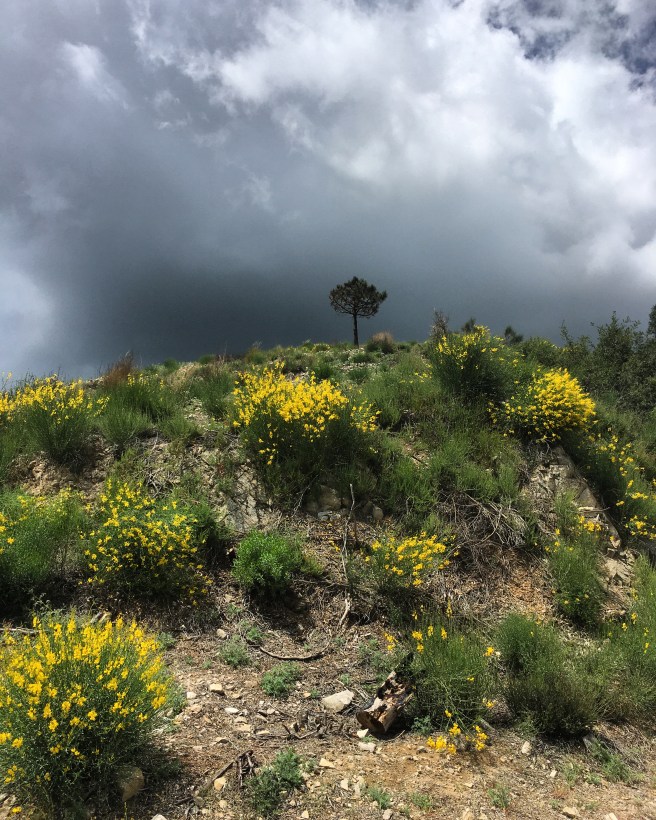 D8F5FBB8-78E6-4505-AB12-A931A953FF3D