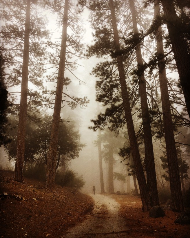 F047F765-5805-4208-84DB-26C72439DE3E